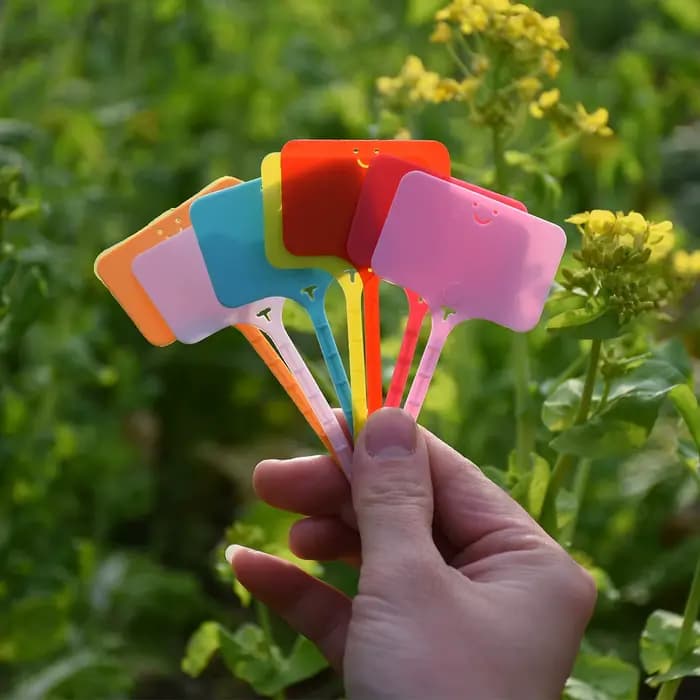 Étiquette volante réutilisable pour plantes de jardin, 50 à 100 pièces, carte d'identification en pl