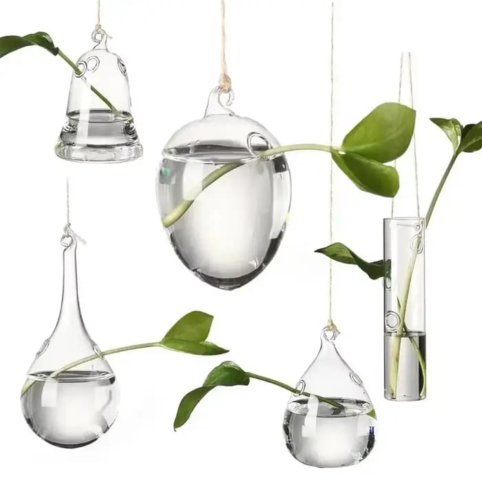 Vase en verre suspendu hydroponique