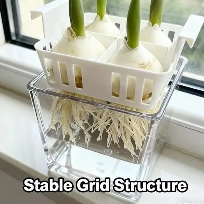 Pot de fleur à quatre grilles pour tulipes hydroponiques