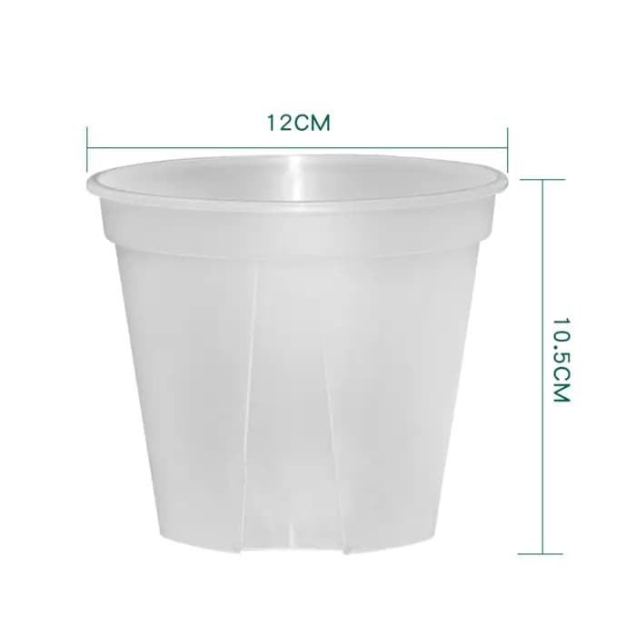 Pots d'orchidées en plastique transparent avec trous