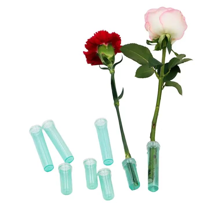 Tube de nutrition de fleurs fraîches en plastique avec bouchon, tube de stockage d'eau, récipient hy