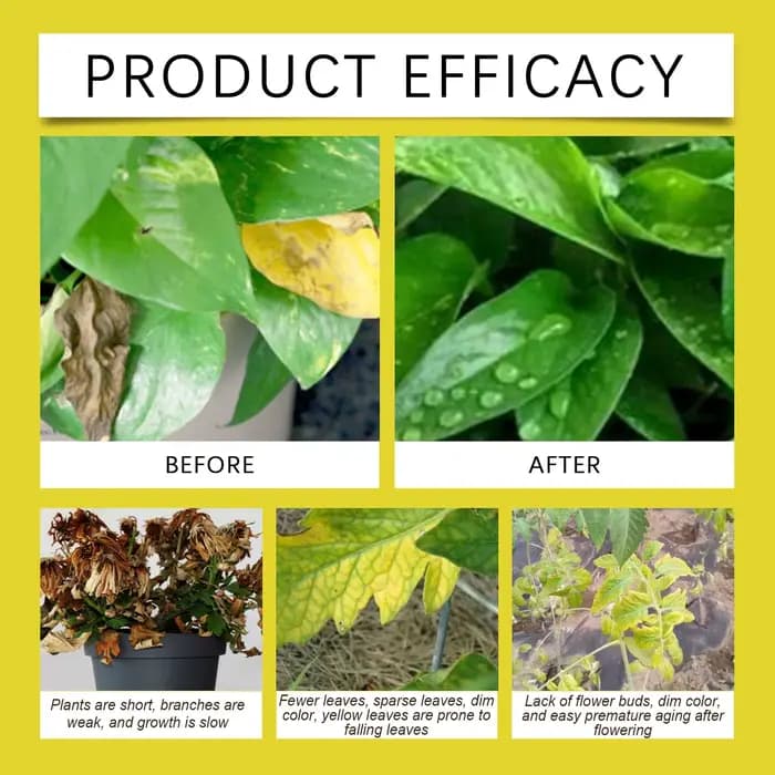 Activateur de sol pour jardin – Engrais pour plantes tout usage qui desserra le sol compacts et les fournitures