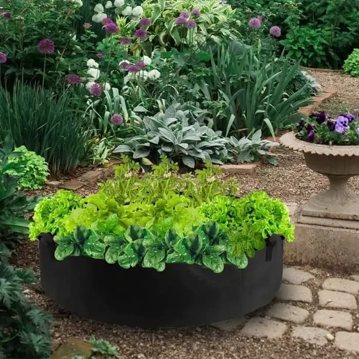 Sac de culture en feutre avec sac de nutrition pour plantes Foy, outils de jardin, 10 gallons, 30 gallons, 40 gallons, 50/100 gallons, 10 gallons, 30 gallons, 40 gallons, 50/100 gallons