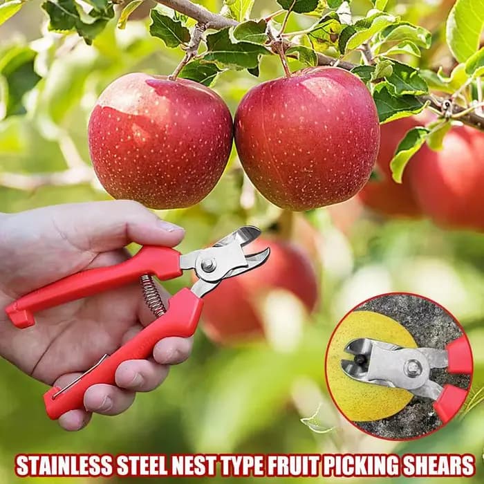 Ciseaux de jardin ergonomiques pour arbres fruitiers