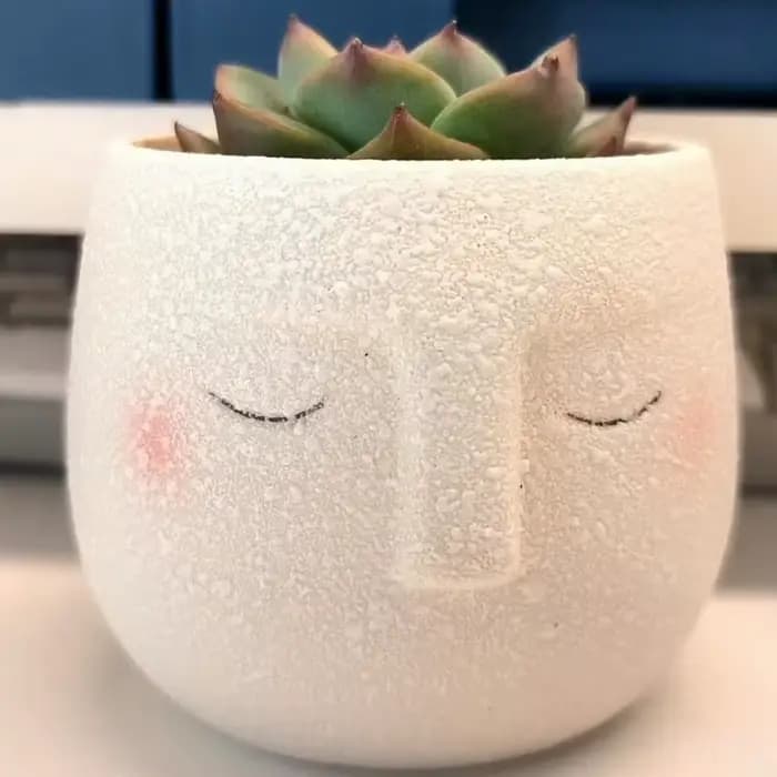 Pot de fleurs en céramique en forme de visage de dessin animé