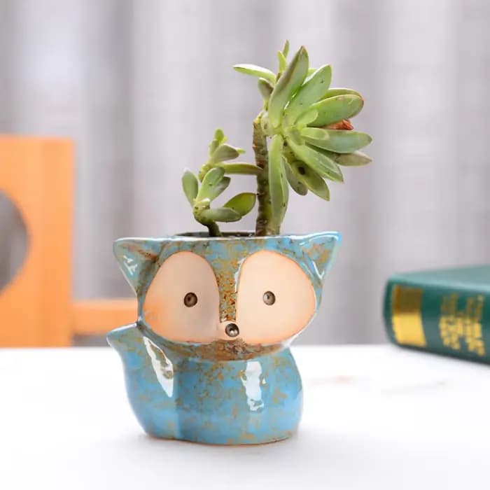 Pot de plantes en forme de renard en céramique, Micro Mini plantes succulentes en Pot, petits Pots d