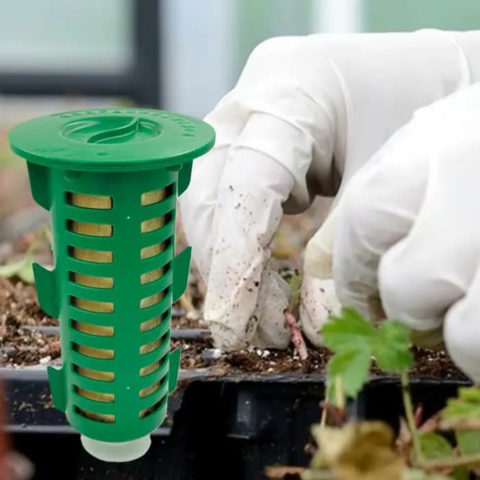 Piège de Station de tige d'appât de contrôle de termites souterraines