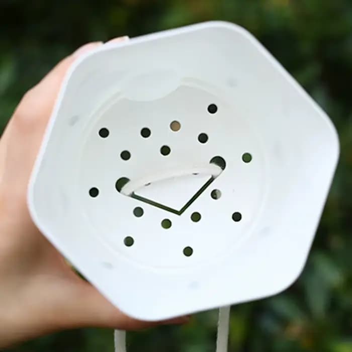 Pot de fleurs Transparent à arrosage automatique