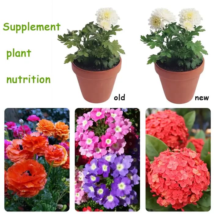 Engrais organique en mini-paquet de 10 g