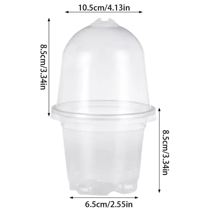 Pots transparents pour pépinière de plantes en PET avec couvercles