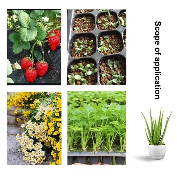 Ensemble de 10 plateaux de semis en plastique pour jardin