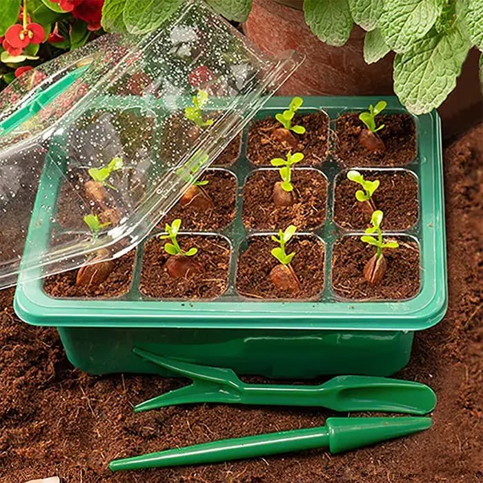 Kit de boîte de culture de jardinage, plateau de démarrage de graines, lumière de croissance LED, pl