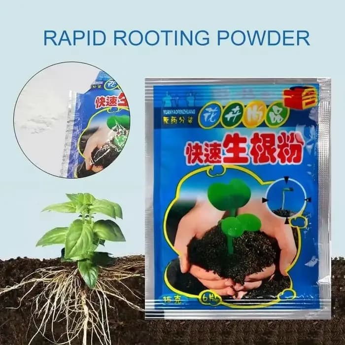 Poudre d'enracinement rapide pour plantes, 5 pièces, Agent d'enracinement rapide, Hormone, croissanc