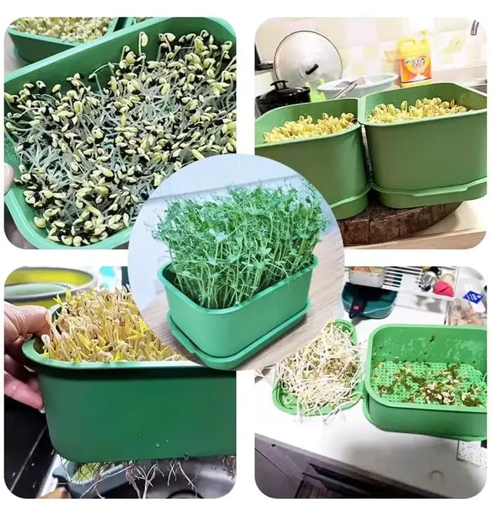 Pot de plantation en plastique pour germination domestique, 1 à 3 pièces, germes de haricots jaunes, germes de haricots mungo, jardin, culture hors sol, Pot de semis