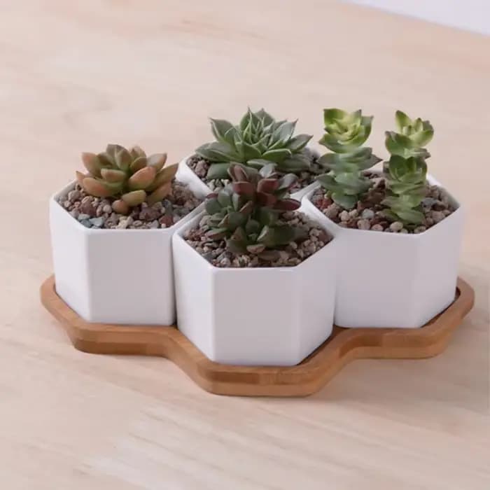 Pot de fleurs hexagonal en céramique blanche avec support en bambou, pots de plantes succulentes, dé