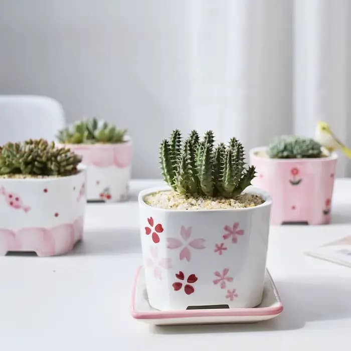 Pot de fleurs succulentes carré en céramique peint à la main pour fille rose