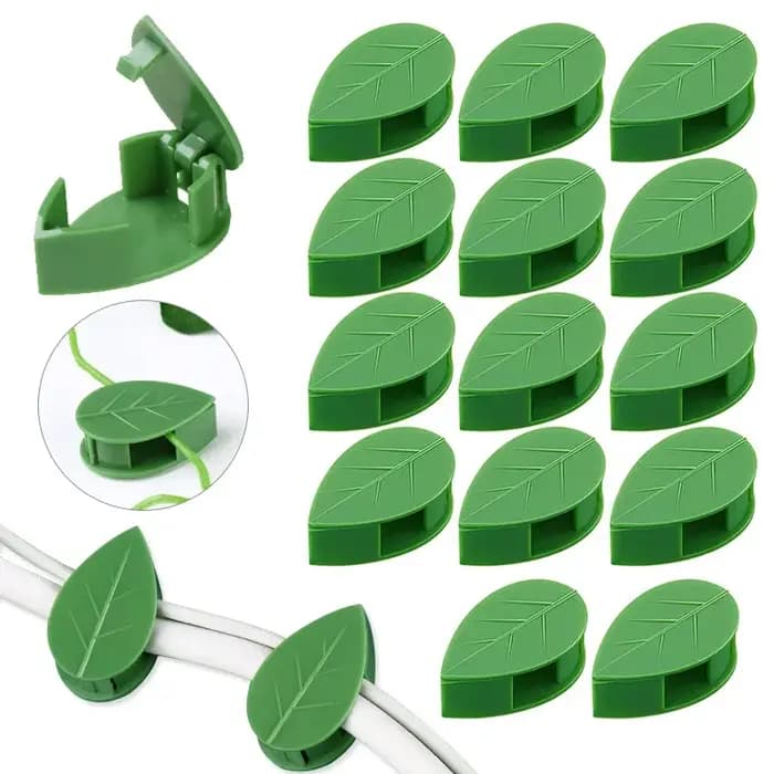 Clips de fixation murale pour plantes grimpantes