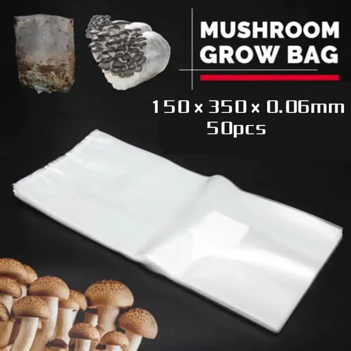 Sac de culture de champignons, 100 sacs résistants à la chaleur en polypropylène, idéaux pour les ch