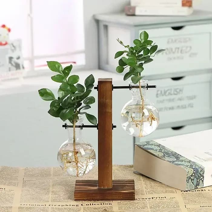 Plante hydroponique Terrarium Vasevase décoration maison bouteille en verre