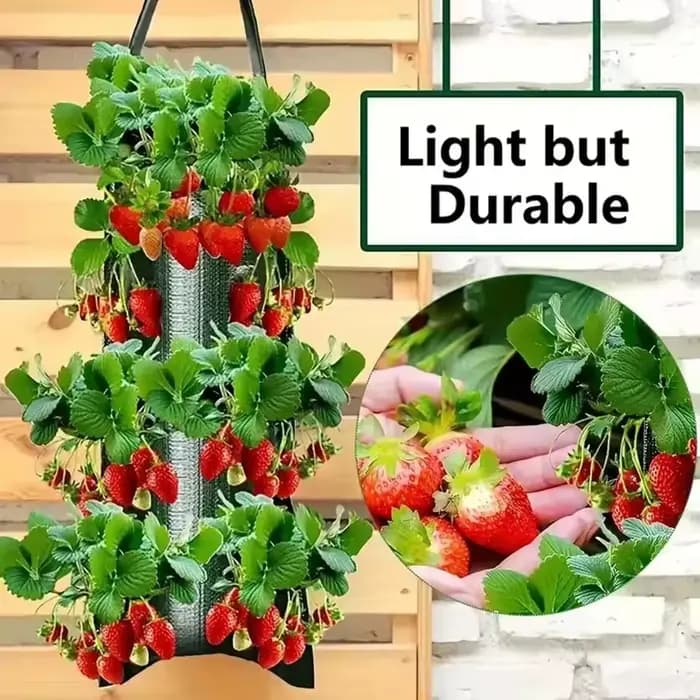 Sac de plantation vertical pour fraises à 4/6/8/10 trous