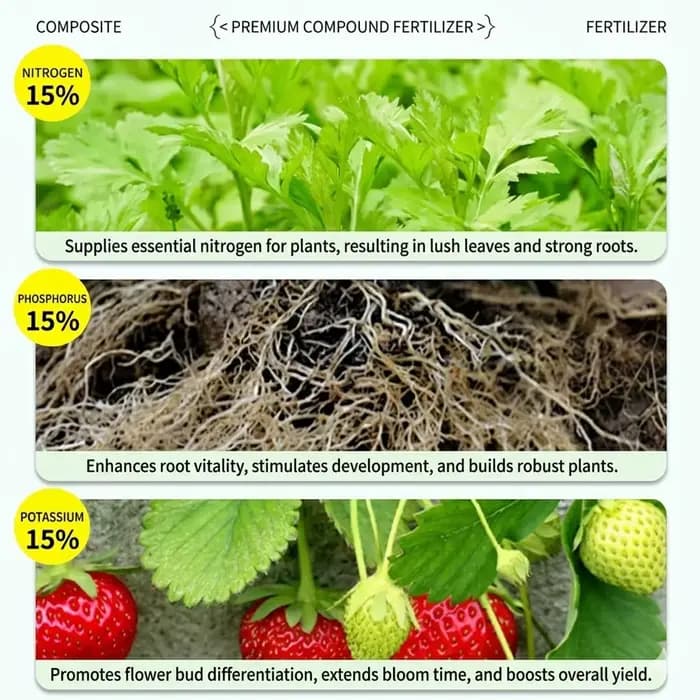 Engrais NPK SERVAVEXA tout usage 15-15-15 - Alimentation végétale granulaire complète et équilibrée pour les légumes