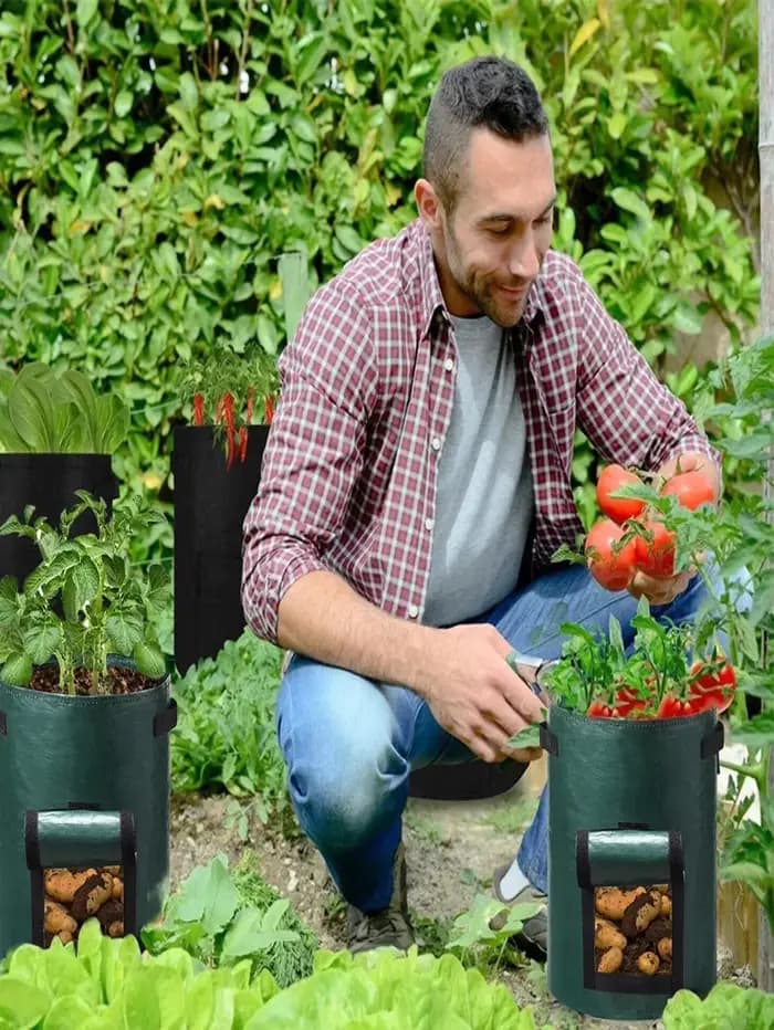 Sac de culture de plantes végétales, 5 pièces, fournitures de jardin, conteneur de plantation, Pot d