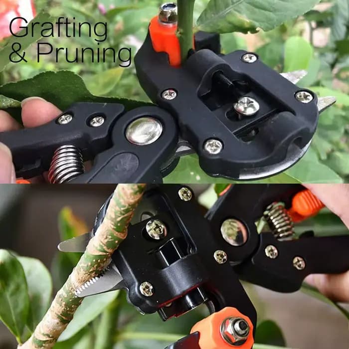 Sécateur de greffage de boîte à outils rouge professionnel