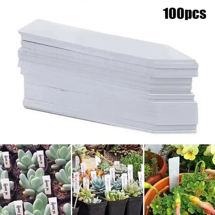 Étiquette de fleur étanche en plastique, 100 pièces, marque de type T, étiquette de jardinage, pour