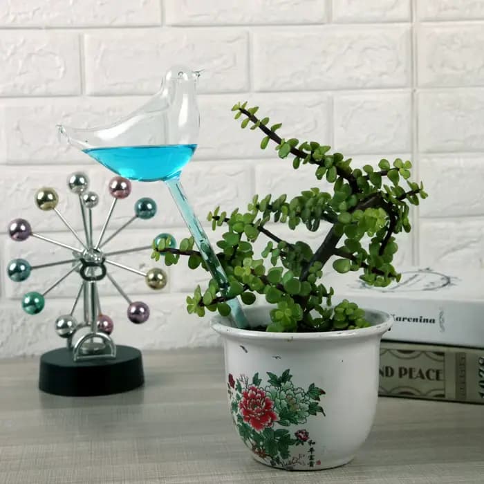 Globes en verre auto-arrosage pour arrosoir de plantes