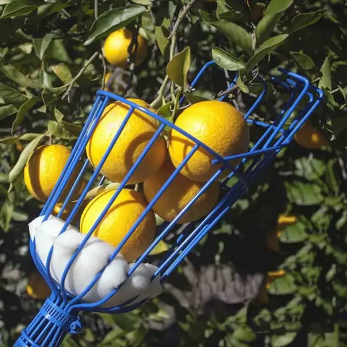Tête de cueilleur de fruits en panier profond, cueilleur de fruits pratique, cueillette de pommes et