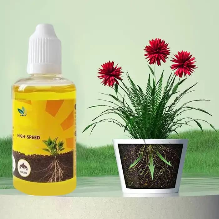 Stimulateur d'enracinement des plantes