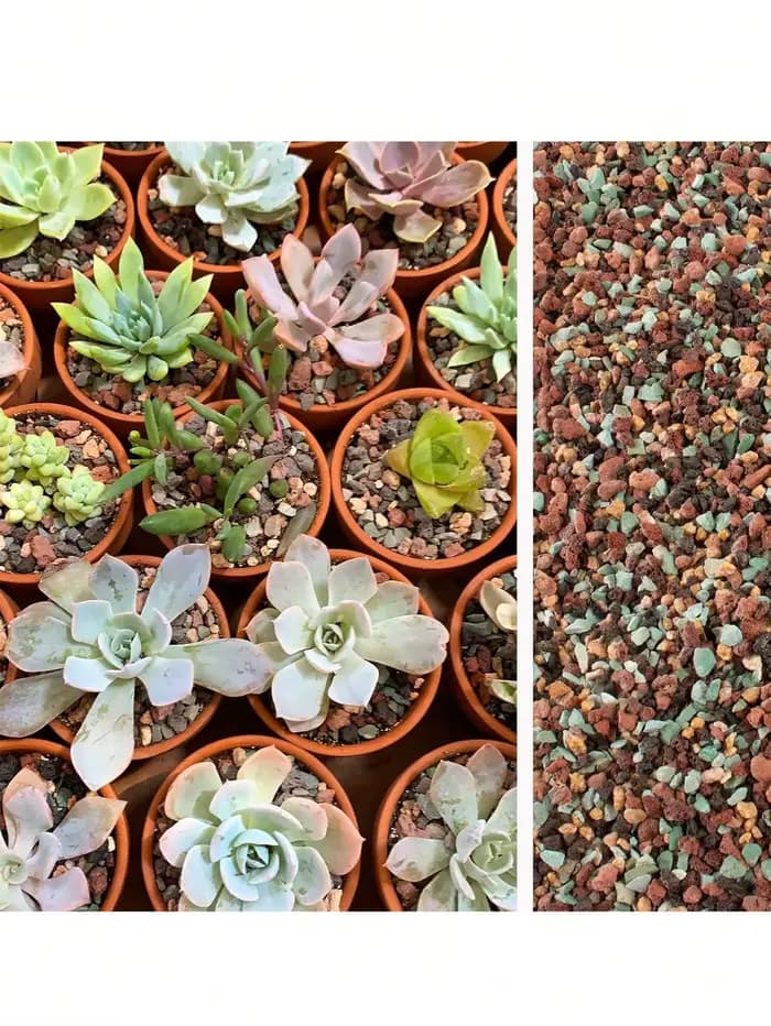 Mélange de galets de roche de lave horticole, pierre ponce, pot de sol, amendement, Cactus succulent
