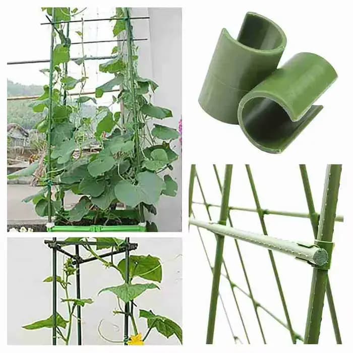 Clips universels en plastique, Support pour plantes, connecteur fixe, piliers de jardinage, fixation