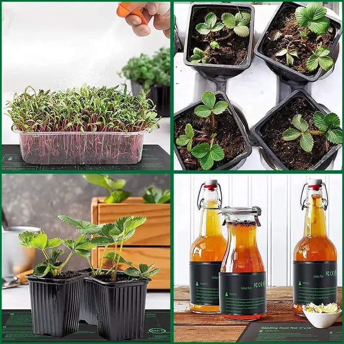 Tapis chauffant pour semis 10/25/50CM, pour plantes d'intérieur, germination, tapis chauffant imperm
