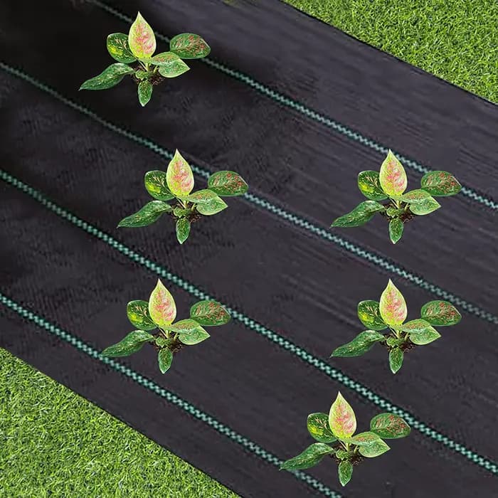 Barrière contre les mauvaises herbes en tissu de paysage de jardin