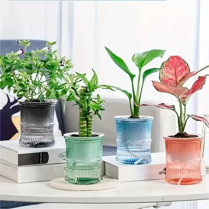 Pot de fleur hydroponique paresseux, Pot de fleurs automatique absorbant l'eau, Transparent, Double