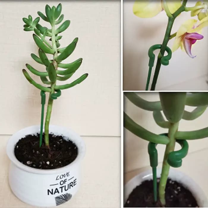 Supports de plantes en plastique réutilisables, support de fleurs, outil de protection en fibre, fou
