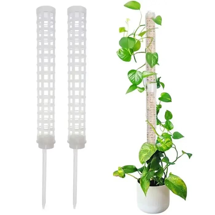 Bâton de support en treillis pour plantes, poteau de mousse en plastique, support pour Pot de plante