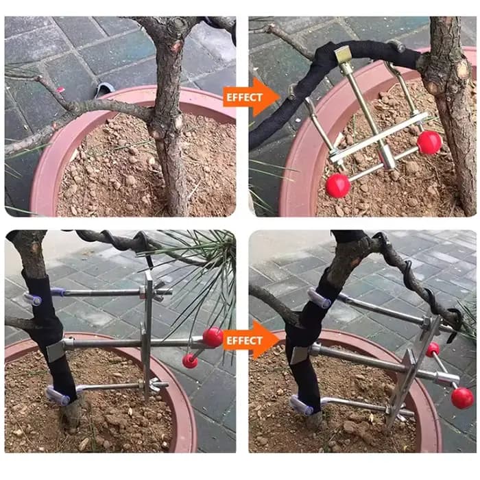 Outils de bonsaï, modulateur de branches d'arbres