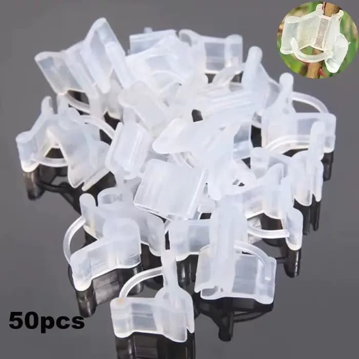 Clips de Greffe de Jardin en Plastique Transparent, Outils d'Ornements de user inage, Plantes de Fle