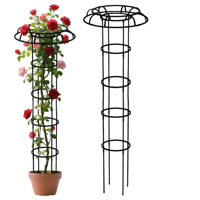 Treillis de jardin pour plantes grimpantes, treillis en forme de parapluie, support pour plantes vin