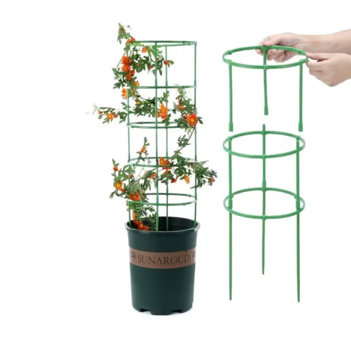 Support de plante verte durable, demi-rond, facile à utiliser, support de piquet de jardin parfait,
