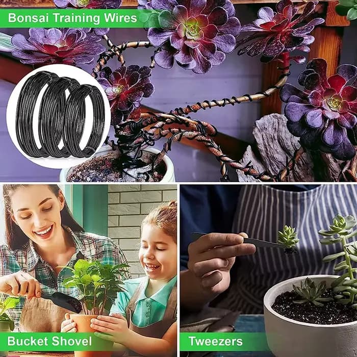 Kit d'outils de jardinage pour bonsaï 24 pièces – Outils de modelage et d'entretien pour plantes en pot