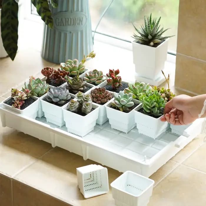 Pots succulents carrés avec bassin en escalier