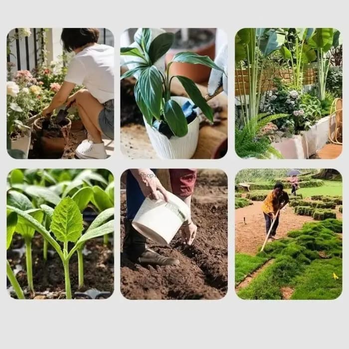 Agent de Fermentation Bactérienne pour Compost de Déchets Alimentaires EM 500G – Idéal pour Améliorer le Sol des Légumes, des Fleurs et des Plantes, et Apporter des Nutriments