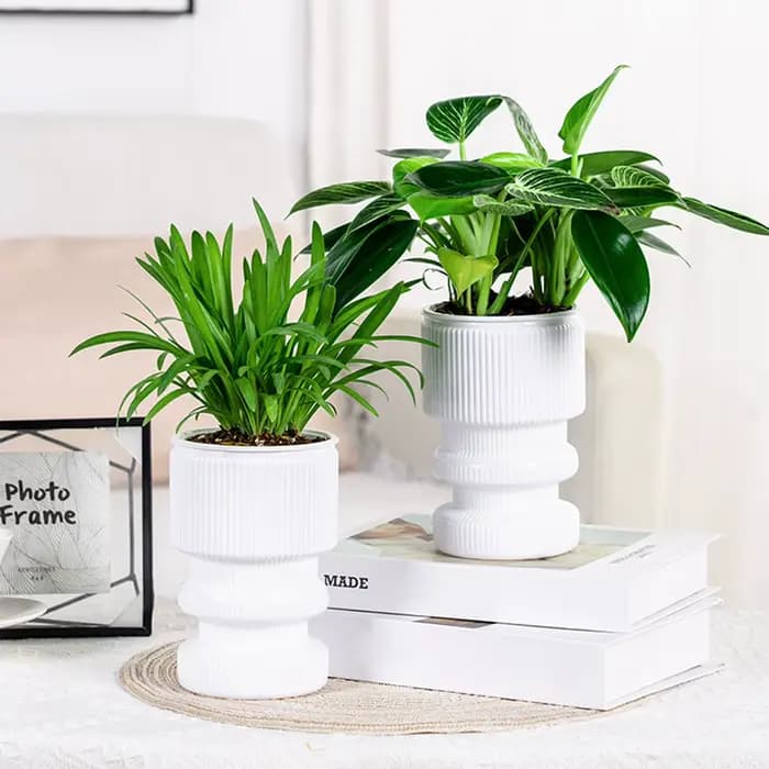 Pot de fleur hydroponique paresseux, pot de fleurs en plastique absorbant l'eau automatique, pot de