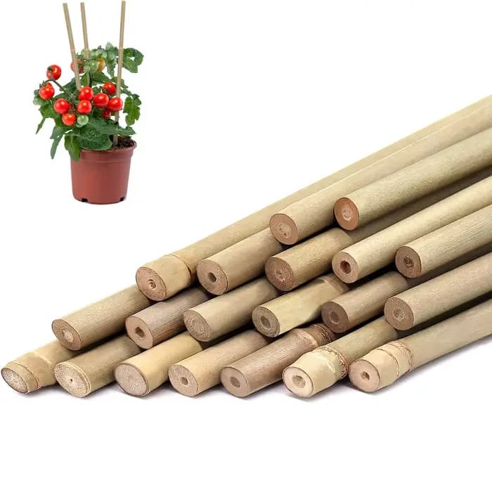 10 pièces, piquets de plantes en bambou pour l'extérieur et l'intérieur, bâtons de bambou, piquets d