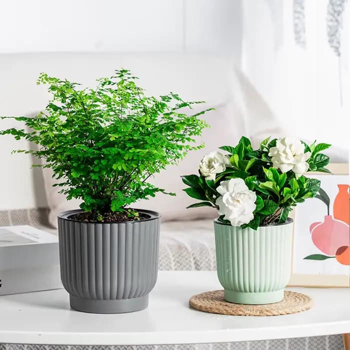 Pot de fleurs auto-arrosant à double couche pour hydroponie