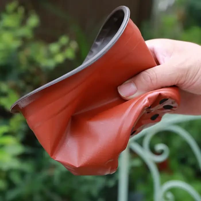 Pot de démarrage de graines de plantes, 100 pièces, récipient de plantes à fleurs en plastique, plan
