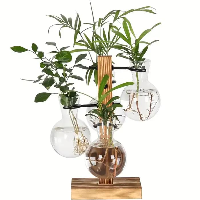 Vase en verre pour plantes hydroponiques, plante de bureau moderne, Terrarium, planteur, ampoule, pl